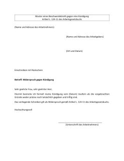 Muster eines Beschwerdebriefs gegen eine Kündigung